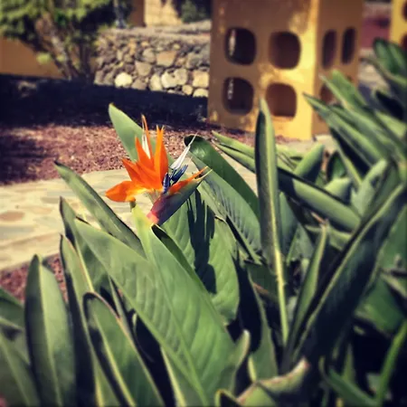 Large Heated Pool, Hot Tub, Bar, Games Room, Gym, 2 Caves, New Outdoor Kitchen