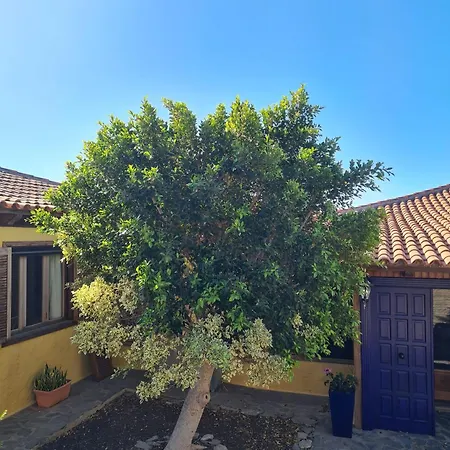 Large Heated Pool, Hot Tub, Bar, Games Room, Gym, 2 Caves, New Outdoor Kitchen فيلة Atogo